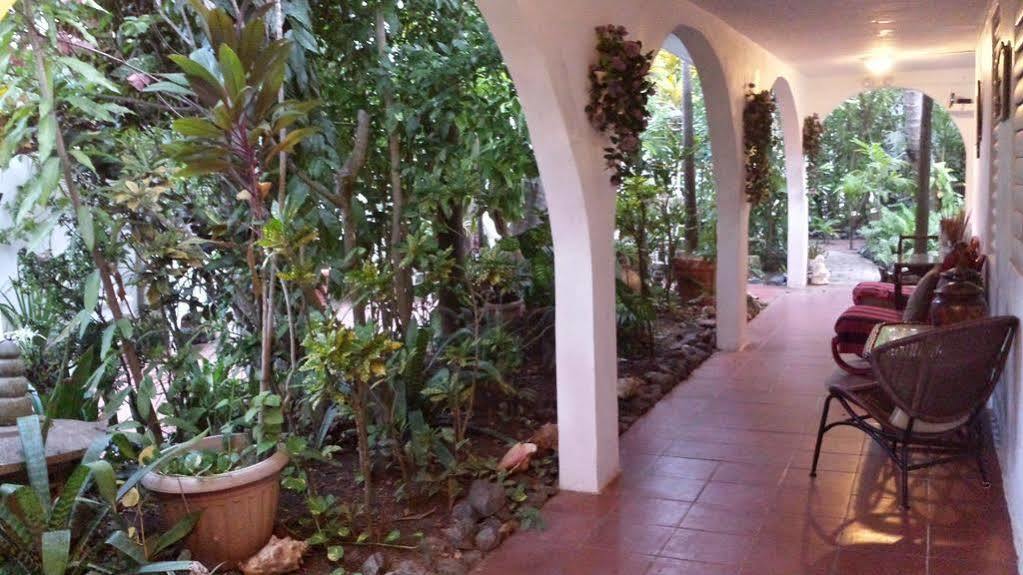 Coconut Palms Inn Rincón Exterior foto